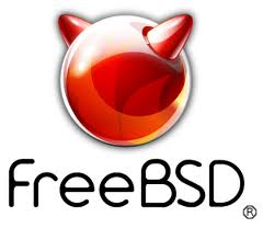 FreeBSD设置IP地址、网关、DNS