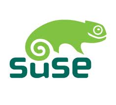 SUSE Linux Enterprise Server 设置IP地址、网关、DNS