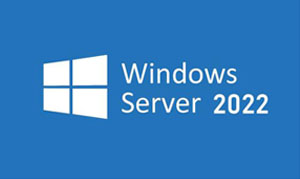 Windows Server 2022 IIS10.0+PHP（FastCGI）+MySQL环境搭建教程